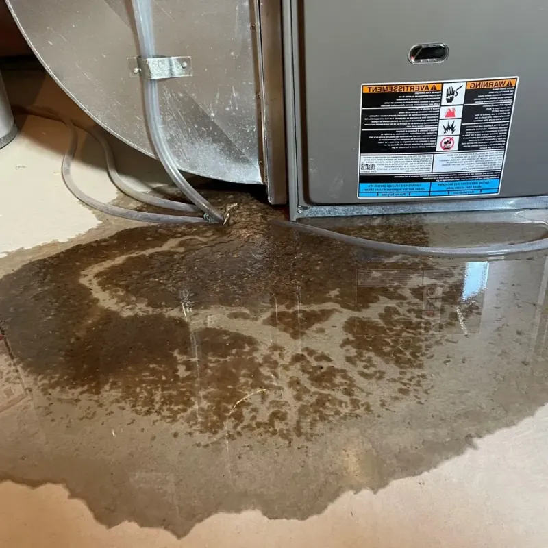 Pipe Burst and Leak Restoration in Lincoln Park, CO